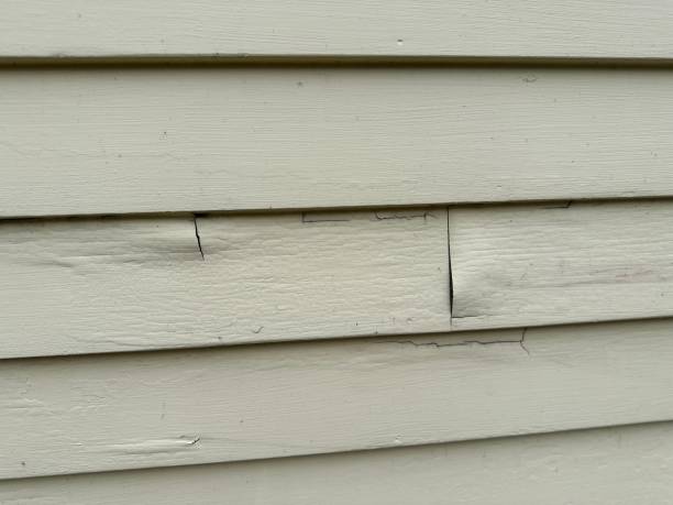 Best Wood Siding Installation  in Sumner, IL